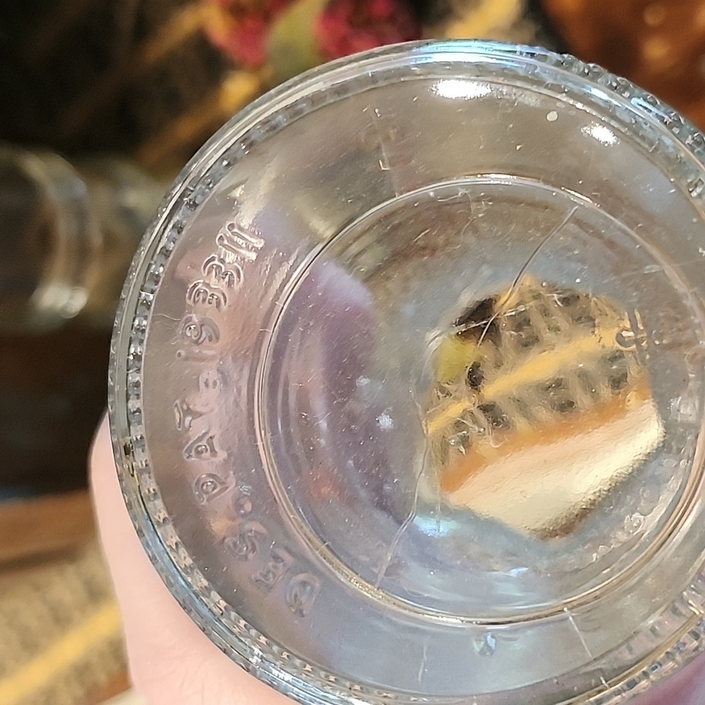Vintage Glass Jars - Picture 6 of 6